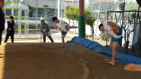 IMGP0490