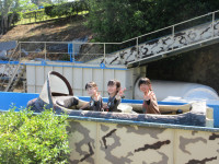 IMG_2450