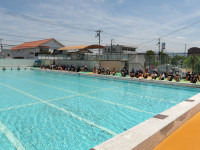 IMGP0623