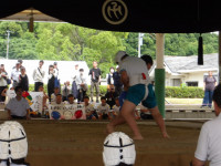 IMGP1250