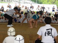 IMGP1252