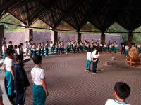 IMGP0342