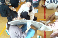 WIN_20251126_13_44_53_Pro